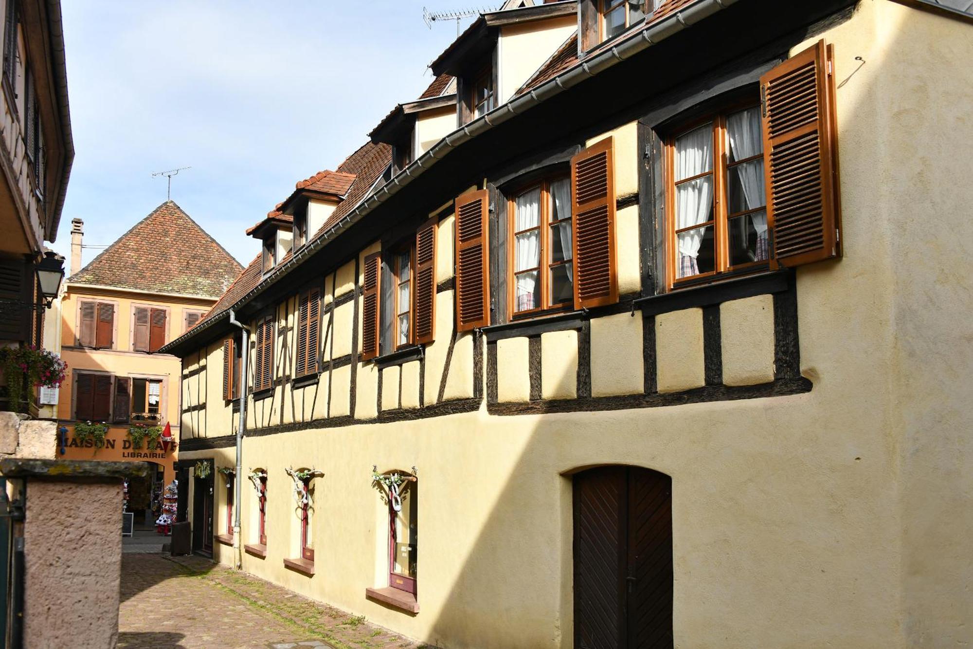 Au Nid d'Hirondelles Appartement Ribeauvillé Buitenkant foto
