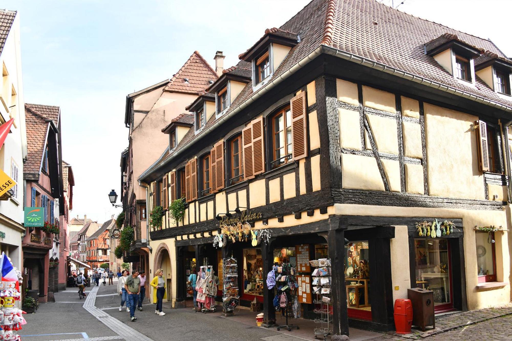 Au Nid d'Hirondelles Appartement Ribeauvillé Buitenkant foto
